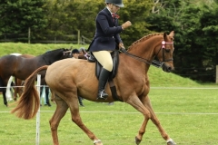 Ella-dunn-and-Abbas-Blue-Rainbow