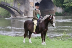 Darcey-Victor-and-Llanfrechfa-Joshua