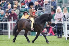 Myles-Hartland-and-Collstone-bonanza