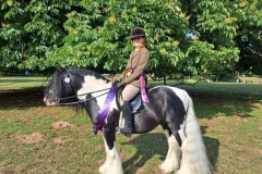 Elizabeth-Wynn-Horse_Pony-Enigma-Reloaded