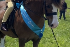 Esme-Ashcroft-Horse_Pony-Waitwith-Santana