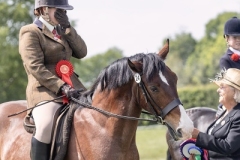 Steevi-Pugh-Horse_Pony-Mitcheltroy-Mercary