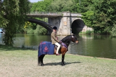 Toby-Johnstone-Horse_Pony-Pumphill-fandango