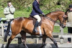 Hallesaire and Abbi Holmes