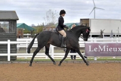 Daisy-Darby-and-Bankswood-Savoir-Faire