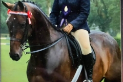 Olivia-Rocks-and-Sir-Control