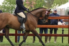 Toni-kewley-and-Jack-of-hearts