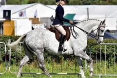 Ella-hunter-Horse_Pony-Taste-of-diamonds