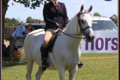Georgina-bennett-Horse_Pony-Prestlands-silhouette