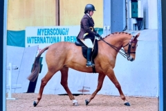 1_Laura-King-Horse_Pony-Ashleas-Total-Class