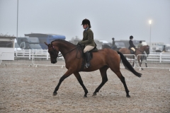 Paige-farmer-Horse_Pony-Summer-dance