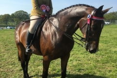 Ellie Simmonds and Hevans Forever In My Life