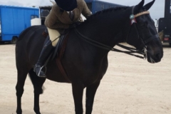 Lana Whitelock and Carnsdale Kings Empress