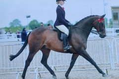 Alice-Spink-and-Emperors-Jade