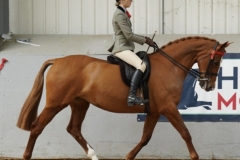 Keira-skelly-and-Cootehill-Miss-Molly