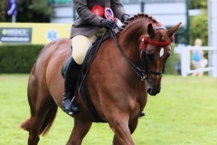 Caitlin Hamilton and Firecrest C