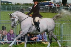 Sayyad AND Clare Fitch