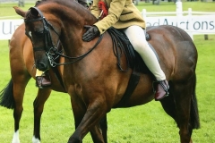 Charlie Mitchell and Trefriw Earl