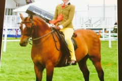 Ellie McDonnell and Goldengrove Sunrise