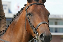 Laura Hercus and Deanburn Regal Splendour