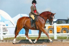 Tori Thomas and Penstrumbly Our Latif