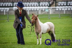 Jean Isaacs and Rosemont Ima Dreamer Too