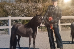 Jessica-Downham-and-Model-Farm-UK-Its-After-Eight