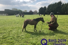 Hannah Bradley and TLF Starring Affaire