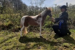 Jessica-Downham-and-Model-Farm-UK-A-Touch-Too-Much-