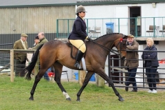 Dream of a Gleam and Dominique Efthymiou