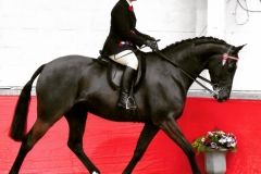 Kirstie Harris and Chiddock Big Time