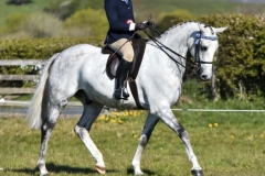 Bronte-hatton-Ritchie-and-Hilly-creek-sir-benson