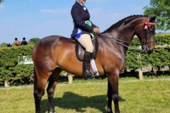 Olivia-Rocks-and-Sir-Control