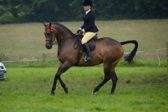 Llanarth Fair Play and Nuala Ellis Jones