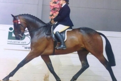 Parkgate Royal Visit William and Emily Whitfield