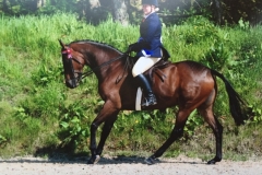 Sophie Burrows and Penharver Bright Light