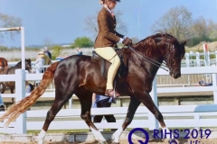 Daisy Conibear and Thistledown Americano-2