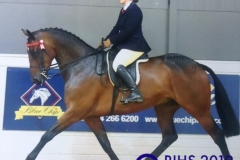 Emily Warters and Parkgate Royal Visit William