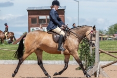 Lisa-Wells-and-Polmark-Lola