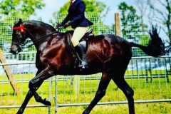 Tracey-blackwell-and-Barncroft-Prince-of-Darkness