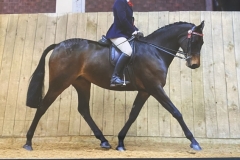 Sarah-Birchall-and-Barncroft-Queen-of-Diamonds