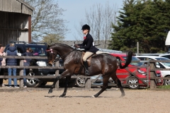 The North Of England Spring Show