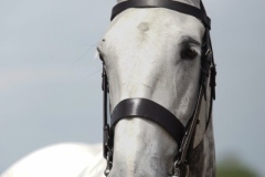 Kay-Ainsworth-and-Heatherdale-Finality