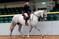 Ella-hunter-Horse_Pony-Taste-of-diamonds