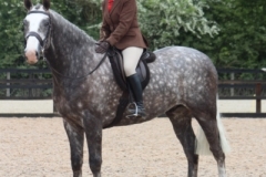 Samantha-Webster-Horse_Pony-The-Black-Cross