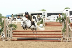 andrea pearman and ffynnonbach llewelyn