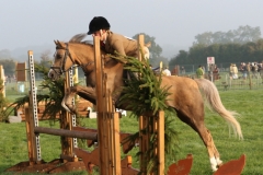 Tori oakes and Roseberry lullaby