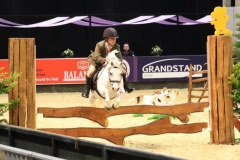 andrea pearman and ffynnonbach llewelyn