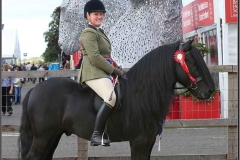 Kirsty Aird and Greenholme Emblem