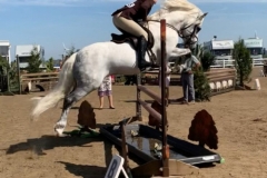 Vicki-Casey-and-Frederiksminde-Volcano-copy